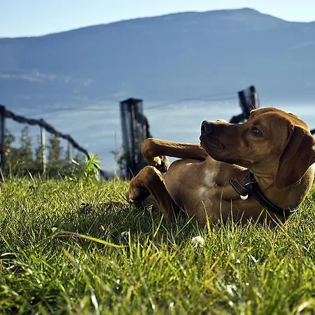 Agritur Maso Pra' Cavai Farm stay *